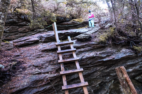 ladder climb along grandfather trail to reach macrae peak on grandfather mountain