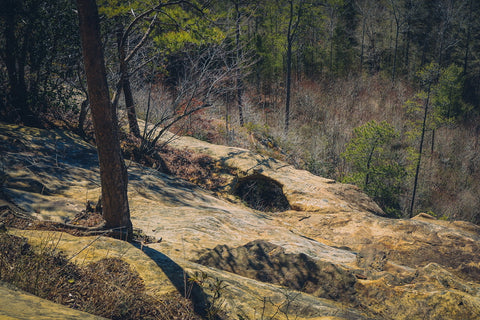 shawnee arch along a ridge in red river gorge of Kentucky 