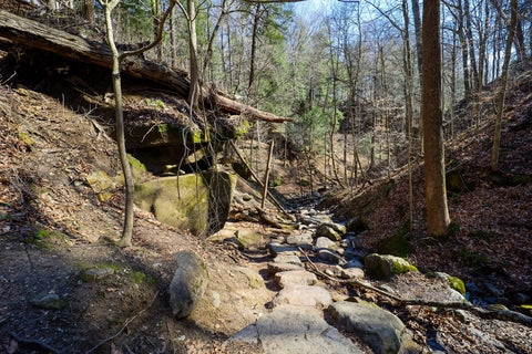 Looking down into boulder canyon along trail 9 in Turkey Run State Park Indiana 