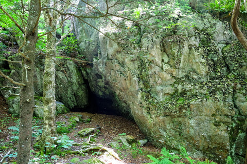 interesting rock formations and caves along the twin pinnacles trail in grayson highlands state park in virginia