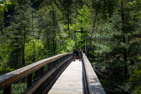 Tallulah gorge state park waterfalls hiking trail Georgia Suspension bridge