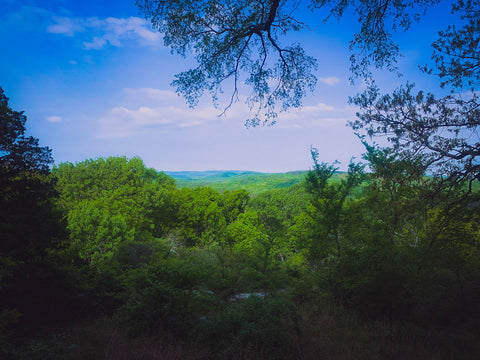 High knob overlook picnic area hiking trails in Shawnee National forest Illinois 