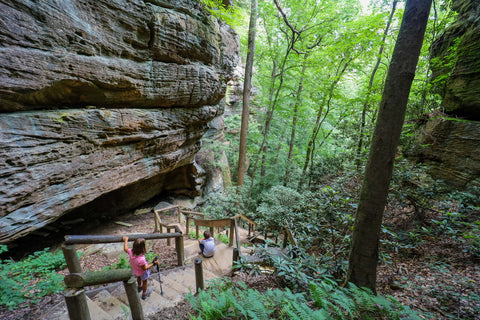 Rock shelters and formations while hiking through the devils gulch stairway in natural bridge state resort park kentucky