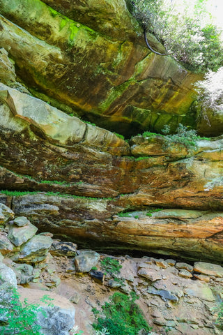 grays arch trail red river gorge