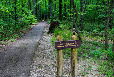 chimney top rock trail red river gorge