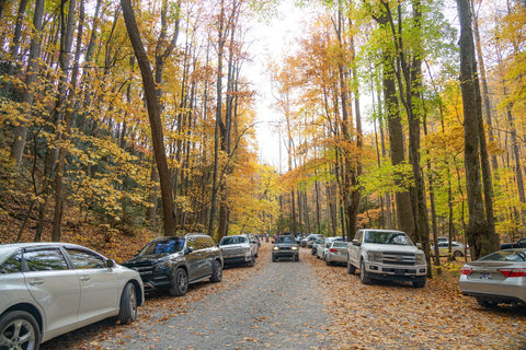 Tremont great smoky mountains national park Tennessee Lynn camp prong cascades middle prong waterfall hiking trails