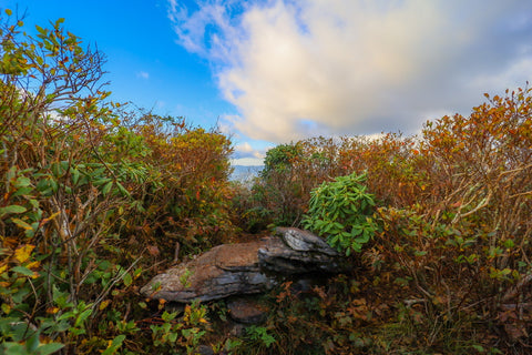 Summit of craggy dome on blue ridge parkway in North Carolina 