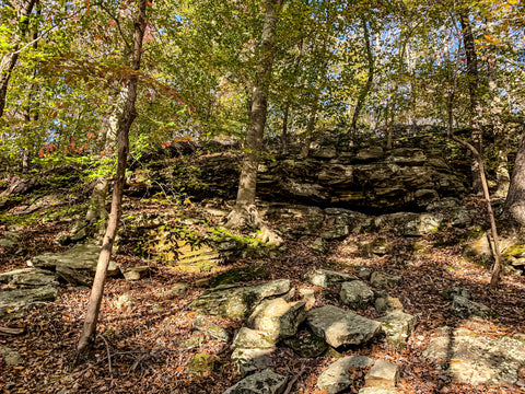 dixon cave trail cliffs in mammoth cave national park kentucky