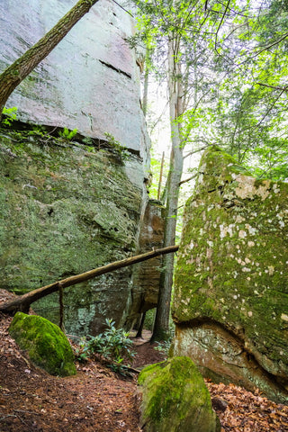 tower rock trail red river gorge