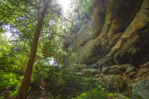 grays arch trail red river gorge