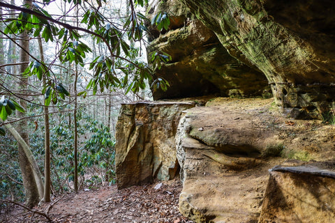 cliffs and rockshelters along henson's arch trail in natural bridge state park kentucky