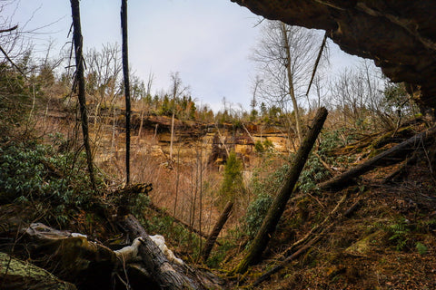 View of Galen tree stump debris in broke leg falls waterfall scenic area kentucky