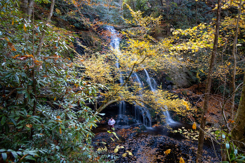 Spruce flats falls Tremont great smoky mountains national park Tennessee waterfall hiking trails