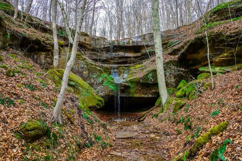 Bowl falls waterfall in yellow birch ravine nature preserve Indiana 