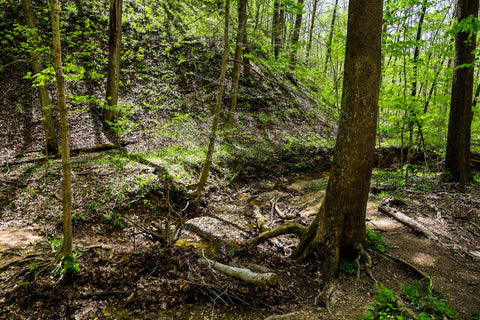 Red Trail Horine Reservation Jefferson Memorial Forest