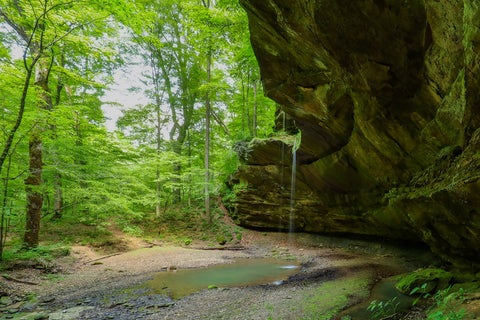 Double falls waterfall and rock shelter in yellow birch ravine nature preserve Indiana 