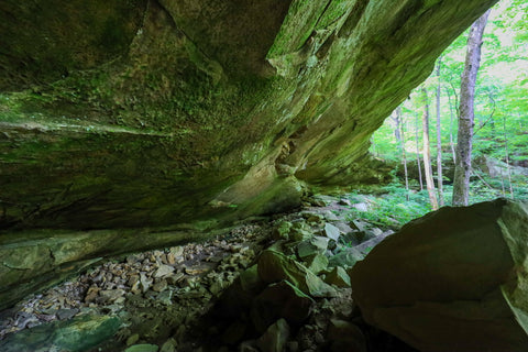 Expansive rock shelter near double falls in yellow birch ravine nature preserve Indiana 