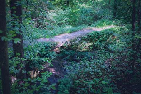 Pomona Natural Bridge Shawnee National Forest Illinois hiking trail arch