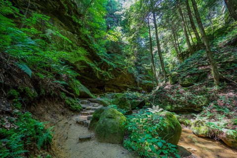 Canyon path to lower falls of Conkles creek in Conkles hollow state nature preserve in Hocking county Ohio 