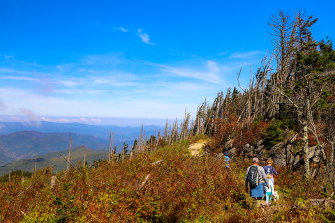 Scenic mountain views along the Deep Gap and Black Mountain Crest Trail within Mount Mitchell State Park In North Carolina