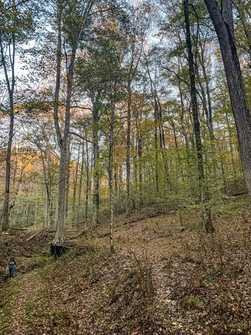 white sands cave trail in mammoth cave national park kentucky