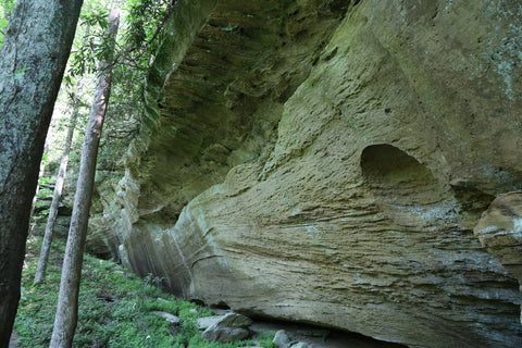 d boon hut trail red river gorge