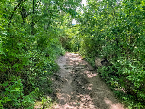 hiking the trails in big bone lick state park