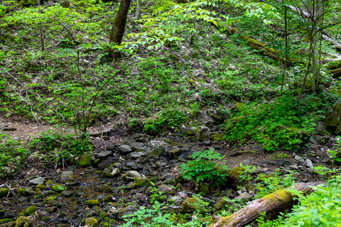 Rufus Morgan Falls hiking trail Nantahala National Forest North Carolina waterfall