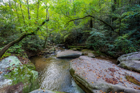 Carrick creek in table rock state park South Carolina 