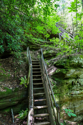 twin arches trail big south fork