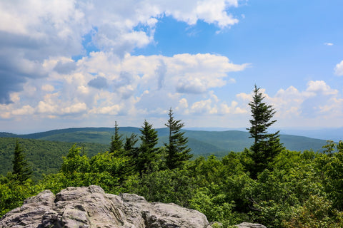 summit of little pinnacle along the twin pinnacles trail in grayson highlands state park in virginia