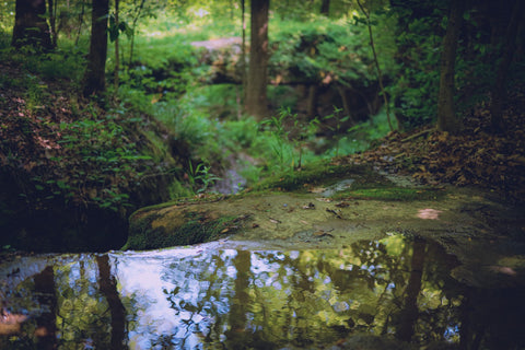 Pomona Natural Bridge Shawnee National Forest Illinois hiking trail 