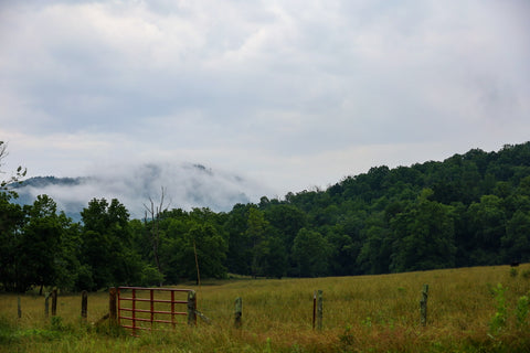 foggy mountains over Pickett CCC State Park in Tennessee