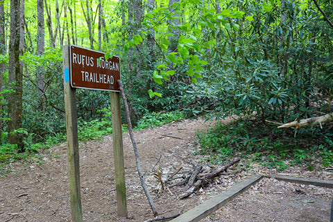 Rufus Morgan Falls hiking trail Nantahala National Forest North Carolina waterfall