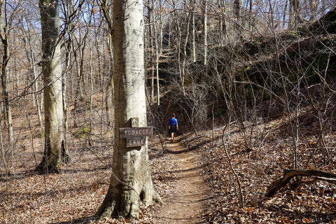 trailhead to tobacco cave along the lower trails of jeffreys cliffs in kentucky