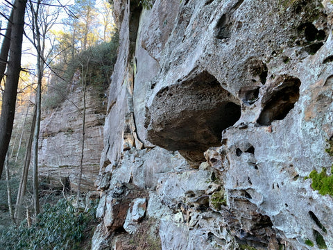 Windows and arches along left flank trail in red River Gorge Kentucky 