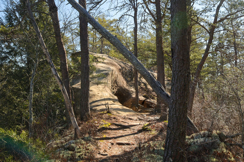 Cloudsplitter to Indian staircase hiking trail in red river gorge Kentucky Daniel Boone National Forest  Adena arch