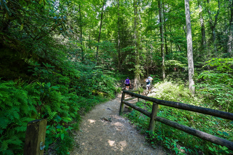 Hiking the original trail to natural bridge arch in natural bridge state resort park in Kentucky 