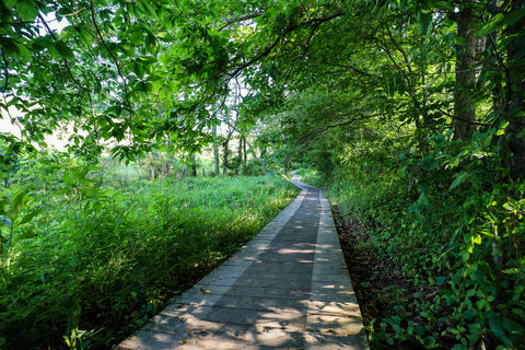 hiking along the boardwalk meadow in Rockbridge State nature preserve in hocking county Ohio