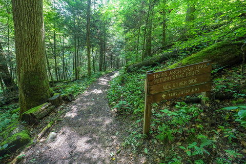 Trailhead sign to yahoo arch in big south fork of kentucky