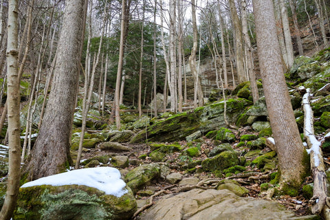 anglin falls trail leading to waterfall in kentucky