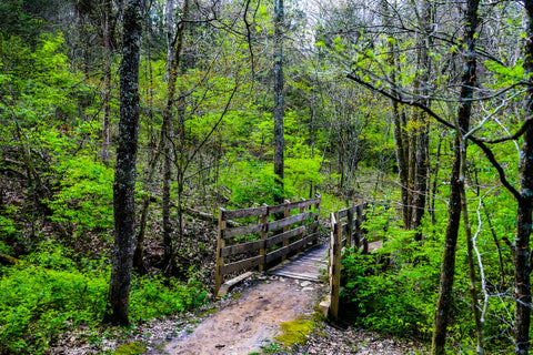 small wodden bridge spanning creek along paw paw trail in turkey run park