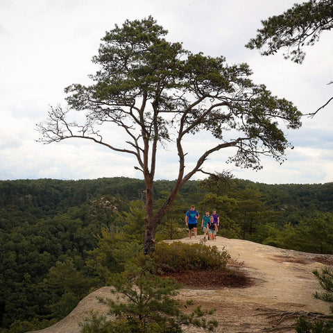 Grays arch rough trail rush ridge Hansons point pinch’em tight hiking trail red river gorge Daniel Boone National Forest Kentucky 