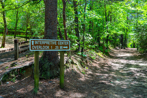 Tallulah gorge state park waterfalls hiking trail Georgia