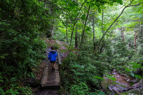 wood bridge spanning cabin creek trail in grayson highlands state park in virginia