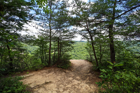 Lovers leap overlook along the Laurel ridge trail in natural bridge state resort park Kentucky 