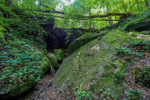 cave opening to rock shelter along the rock shelter trail within Rockbridge State nature preserve in hocking county Ohio 