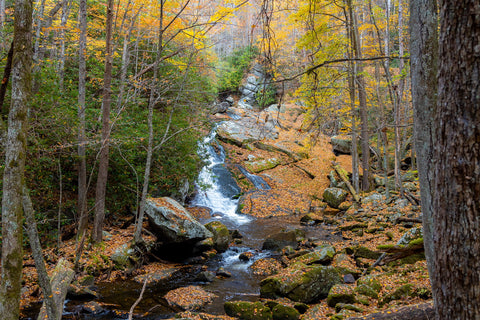 Tremont great smoky mountains national park Tennessee Lynn camp prong cascades middle prong waterfall hiking trails