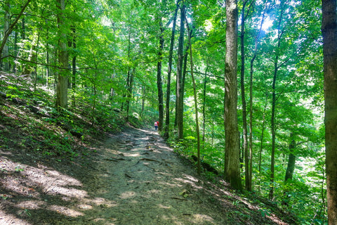 hiking near abandoned village along the tioga falls trail in fort knox kentucky