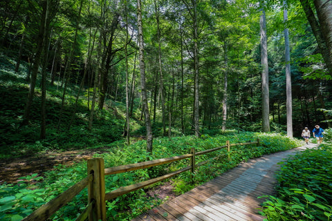 Hiking along the gorge trail of Conkles hollow state nature preserve in Hocking county Ohio 